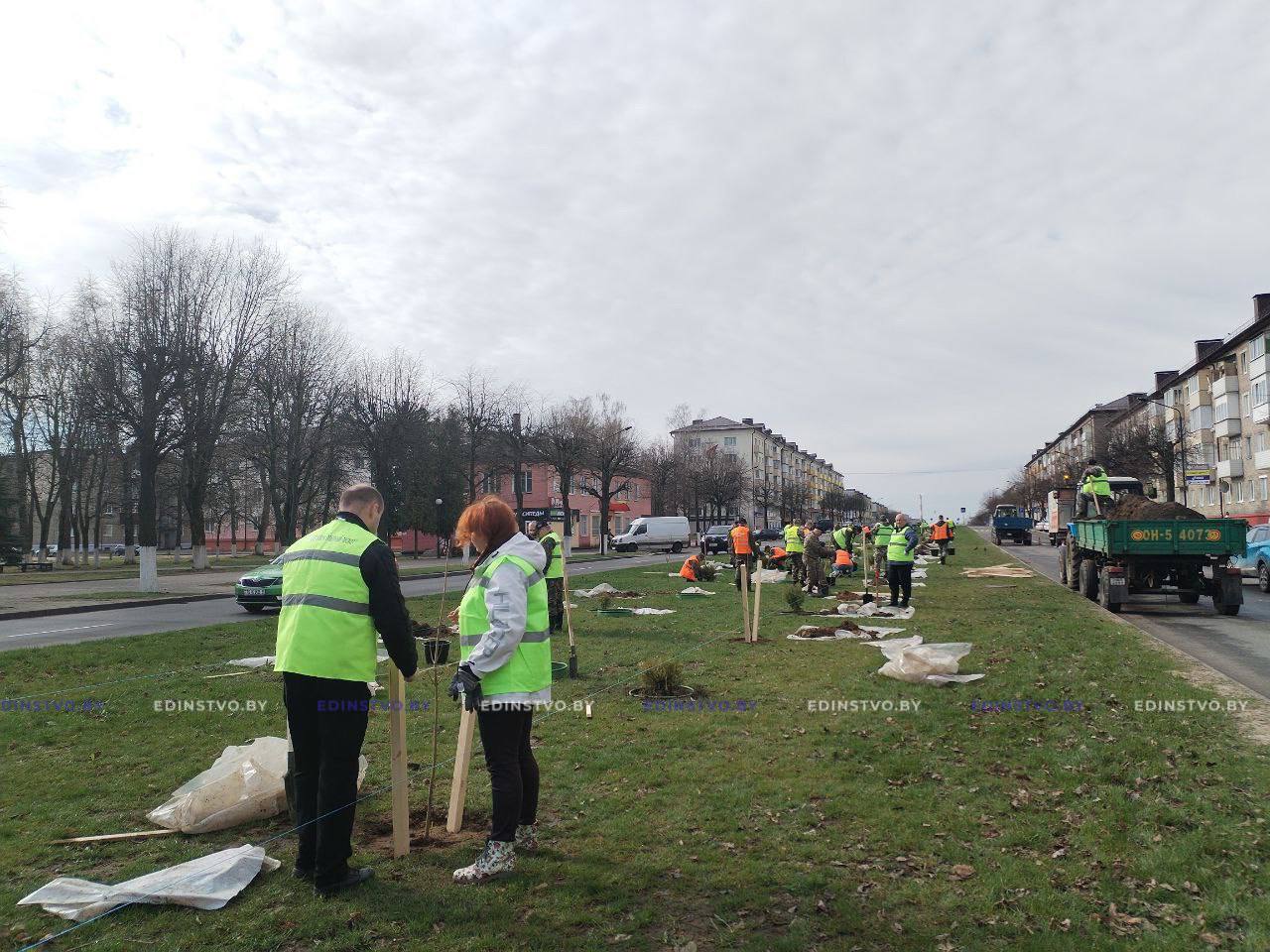 Зеленая суббота: работники  Борисовского опытного лесхоза  высадили около 340 молодых деревьев на улице Чапаева 