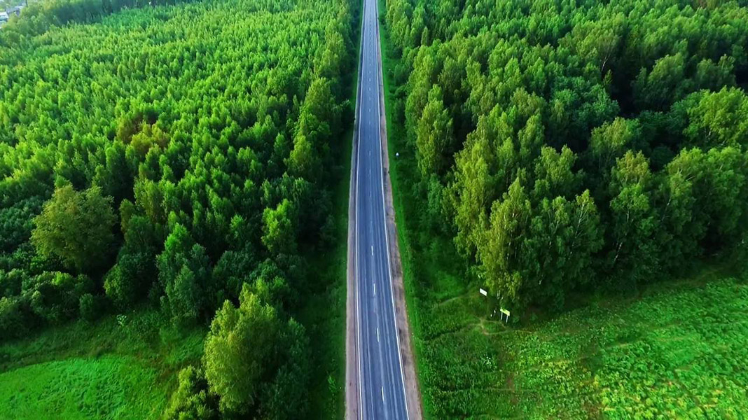В Беларуси будут постепенно снимать запреты на посещение лесов