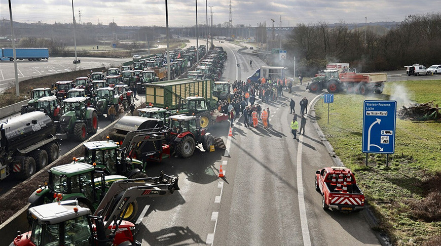 На востоке Нидерландов прошли фермерские протесты